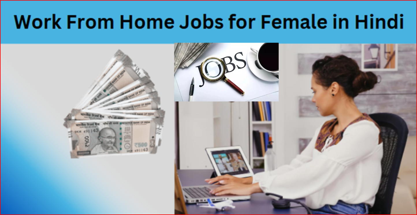 Work From Home Jobs for Female in Hindi